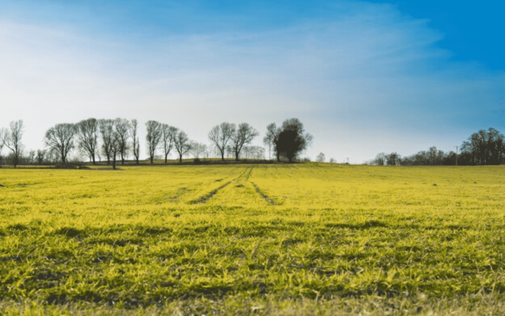 ¿Se puede vender un terreno hipotecado en España?