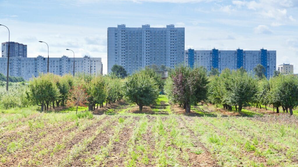 Quanto costa urbanizzare un terreno